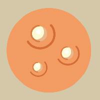 illustration boutons blancs