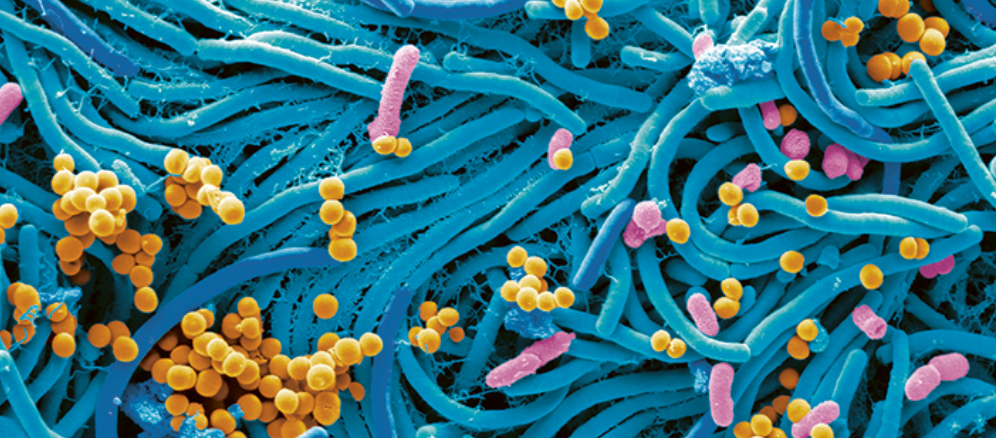 illustration recherche - intelligence artificielle