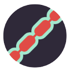 Vaisseaux lymphatiques