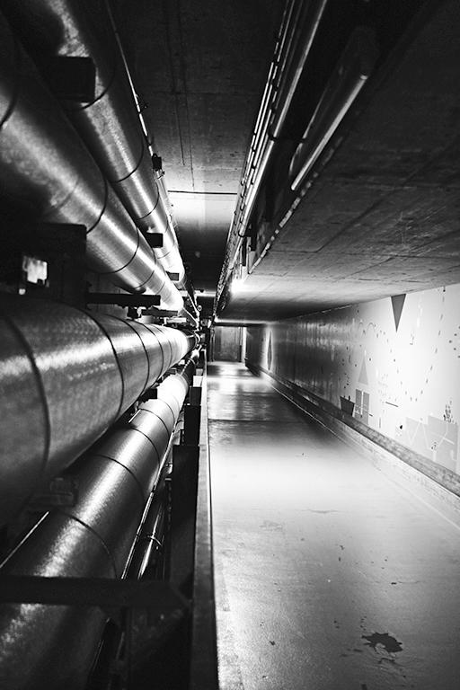 exposition undergrown