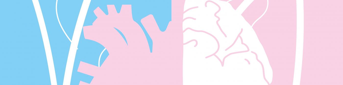 Faites le point sur votre santé cardiovasculaire!