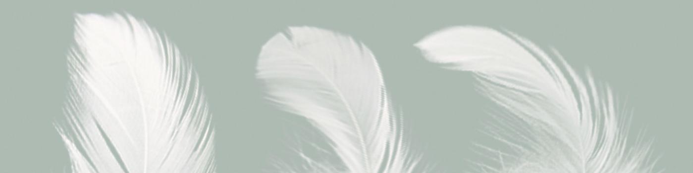 Les secrets d’un bon sommeil