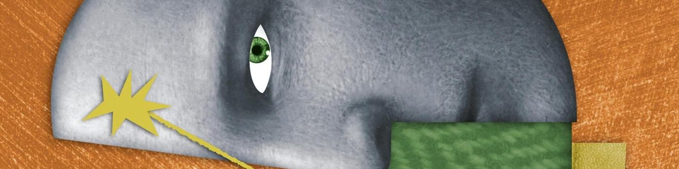 illustration cerveau