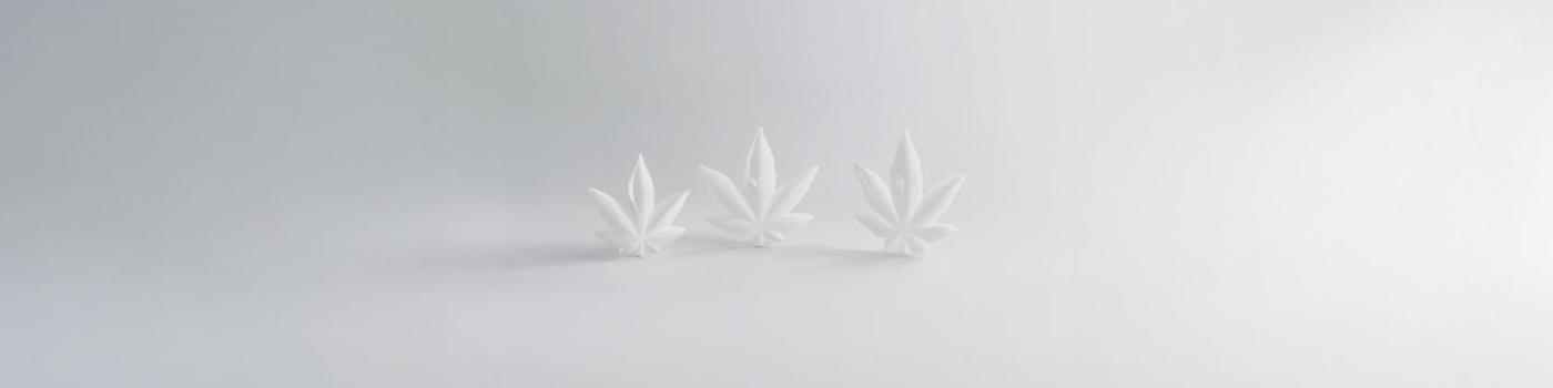 Quand l’addiction se vit dans la rue