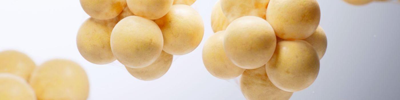 Gare au mauvais cholestérol