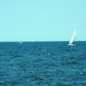 Mémoire et santé psychique, quels liens ?