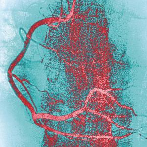 illustration radiologie