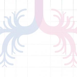 illustration - bronchopneumopathie chronique obstructive