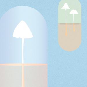 illustration article : psychédéliques