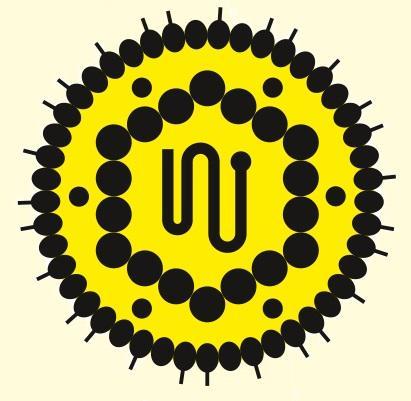 Illustration Hépatite B