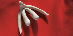 clitoris