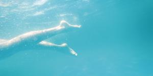 Plongez dans le grand bain