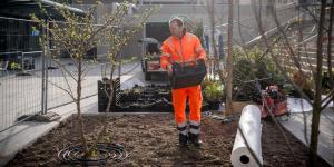 La biodiversité fleurit à l’hôpital