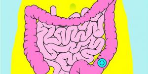 Stomie: le rôle des patients experts